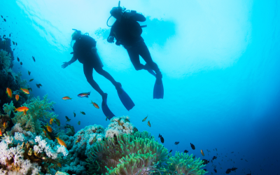 Especialidades de Buceo PADI en Mallorca