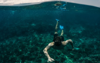 Curso PADI Advanced Open Water Diver en Mallorca