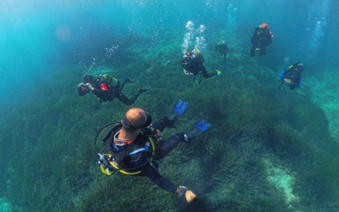 Curso-PADI-Open-Water -Diver-Mallorca